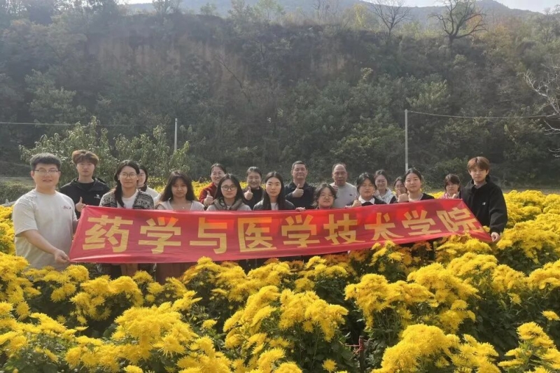 【药学与医学技术学院】365足球药学与医学技术学院师生到新密中药材种植基地开展菊花采摘活动