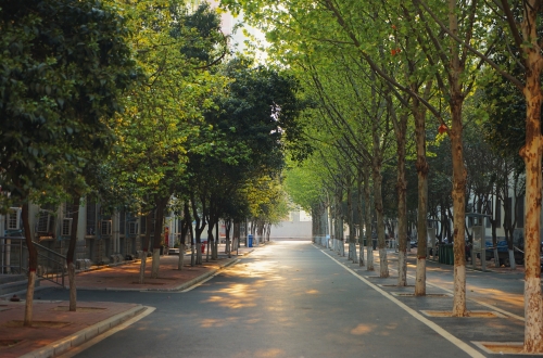 365直播足球直播平台2025年《职业适应性测试》考试大纲及样题
